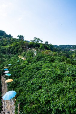 Bamboo bridge with mountain view in Pha Hi village, Chiang Rai province.