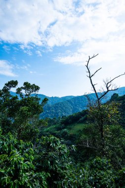 Mountain view at Pha Hi village, Chiang Rai province.