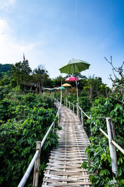 Bamboo bridge with mountain view in Pha Hi village, Chiang Rai province.