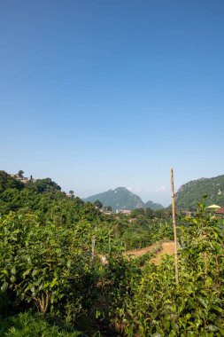 Mountain view at Pha Hi village, Chiang Rai province.