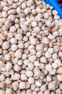 Tayland 'da fil sarımsağı geçmişi.