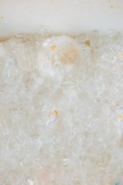 Buzda Hindistan cevizi suyu, Tayland.