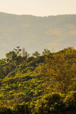 Phu Langka Ulusal Parkı, Tayland Güzel Dağ Manzarası.
