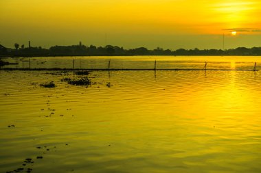 Sabah Kwan Phayao Gölü, Tayland.