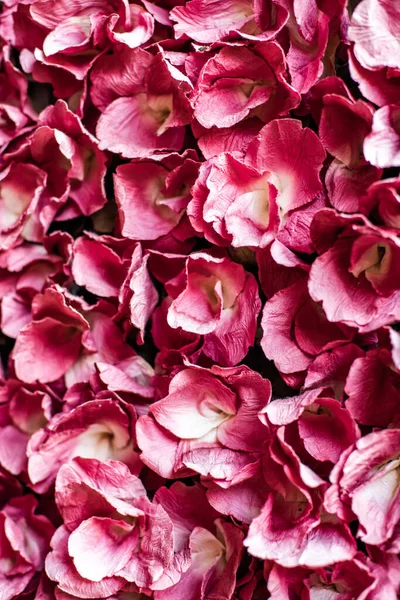 stock image Flowers made from mulberry paper, Thailand.