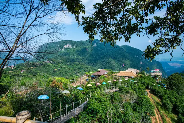 Bamboo Bridge Mountain View Pha Village Chiang Rai Province — Foto de Stock
