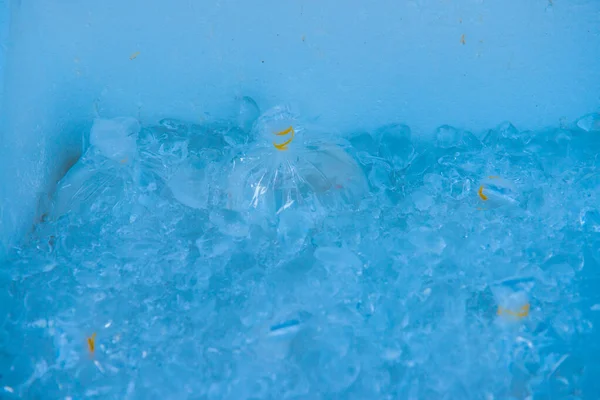 タイの氷の中のココナッツジュース — ストック写真