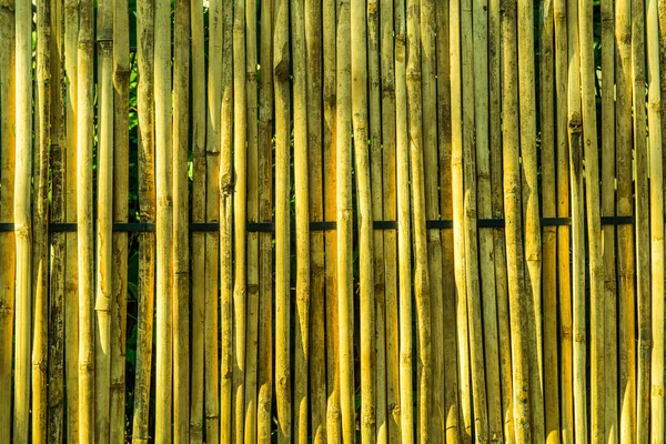 Fondo Bambú Con Luz Solar Por Noche Tailandia — Foto de Stock