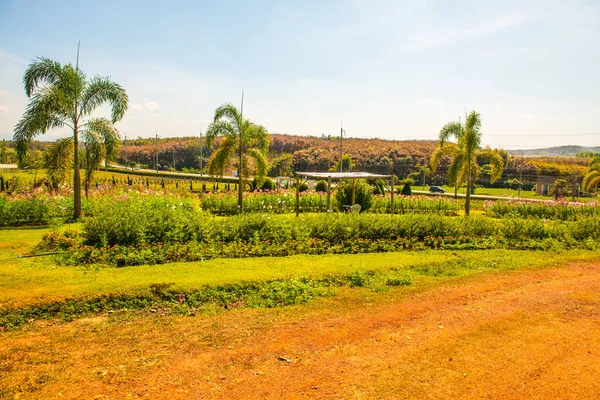 stock image Beautiful View at Thoeng District, Thailand.