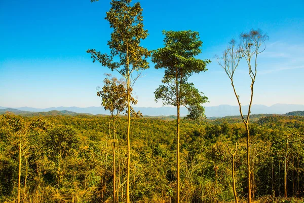 stock image Mountain view at Prayodkhunpol Wiang Kalong temple, Thailand.