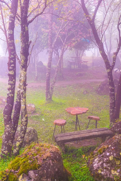 Jardin Avec Brouillard Sur Montagne Thaïlande — Photo