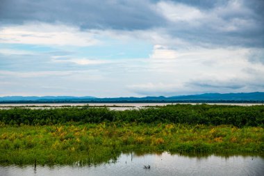 Kwan Phayao lake with rainy clouds, Thailand.