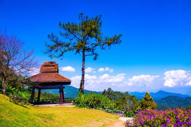 Rest house with pine at Doi Kiew Lom view point in Huai Nam Dang national park, Thailand.