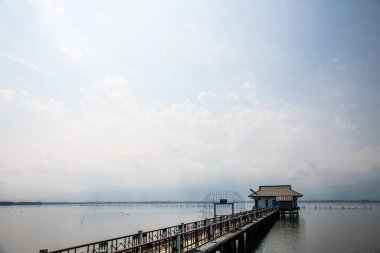 Kışın Kwan Phayao Gölü, Tayland.