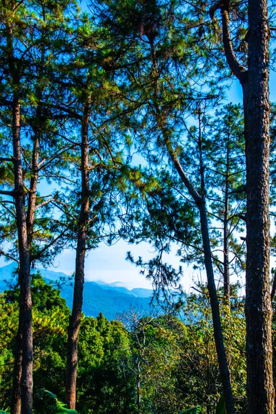 Mountain View Doi Kiew Lom View Point Huai Nam Dang — Stockfoto