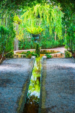 Tayland 'ın Chiangmai eyaletinde güzel bir bahçe..