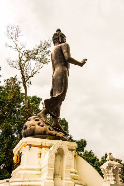 Phra 'da ayakta duran güzel Buda Phu Khao tapınağı, Tayland.