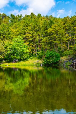 Lake view with reflection in Doi Inthanon national park, Thailand.