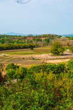Chiang Rai, Tayland 'daki Mae Khachan manzarası.