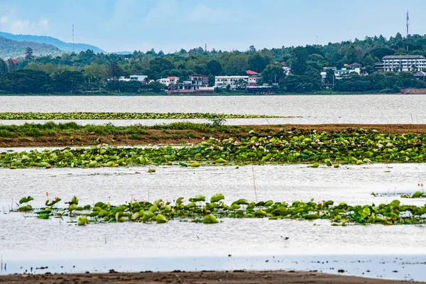 Phayao City Kwan Phayao Lake Thailand — Stockfoto