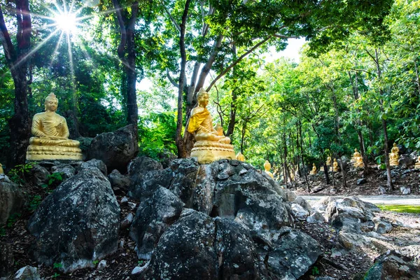 Buddha Statues Forest Phrathat Chom Sin Temple Phayao Province — Photo