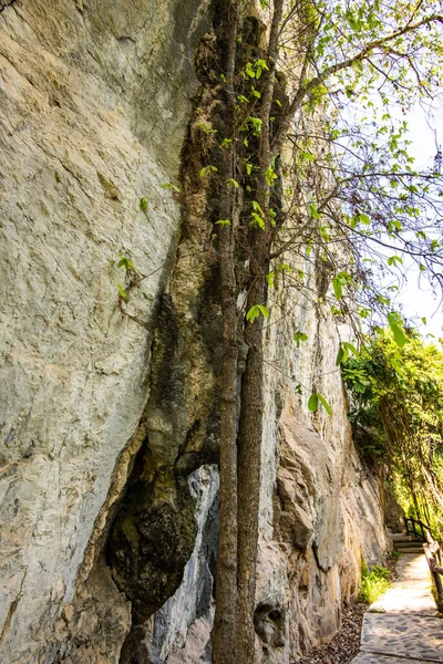 Путь Туристическим Местам Наскальной Живописи Пхратуфа Провинция Лампанг — стоковое фото
