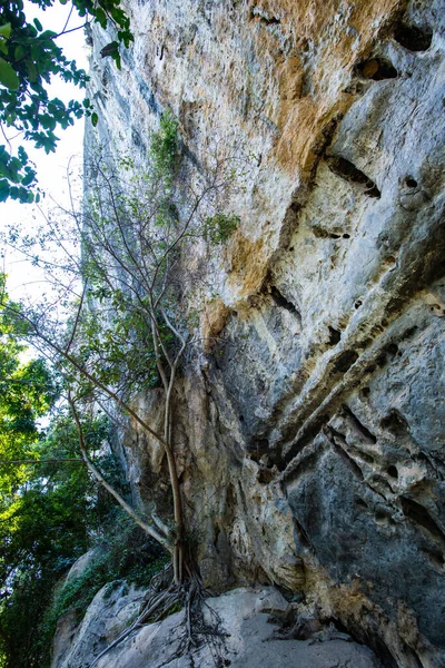 Cliff Atração Turística Pintura Rupestre Phratupha Província Lampang — Fotografia de Stock
