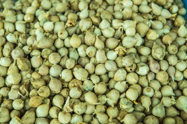 Tayland 'da fil sarımsağı geçmişi.