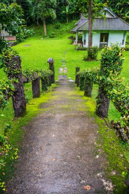 Tayland 'da küçük bir köprü..