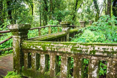 Doi Inthanon Ulusal Parkı, Tayland 'da eski beton çitler..