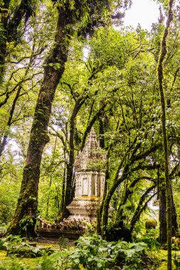 Doi Inthanon Ulusal Parkı 'ndaki Kral Inthanon Anıt Tapınağı, Tayland.