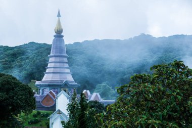 Doi Inthanon Ulusal Parkı, Tayland 'da dağda güzel bir stupa..
