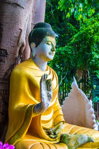 Будда Лісовому Монастирі Дарабхіром Таїланд — стокове фото