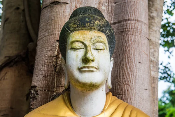 Estátua Buda Mosteiro Floresta Darabhirom Tailândia — Fotografia de Stock