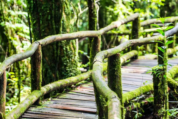 Corrimão Madeira Parque Nacional Doi Inthanon Tailândia — Fotografia de Stock
