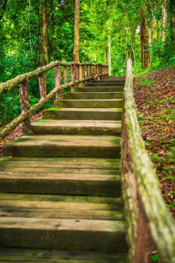Jedsee Çeşme Parkı 'nda yürü, Tayland.