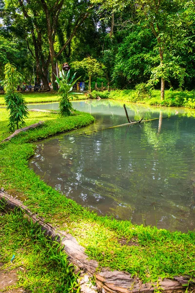 Estanque Caída Agua Buatong Parque Forestal Fuente Jedsee Tailandia —  Fotos de Stock