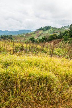 Mon Jam 'in Tayland' daki dağ manzarası.