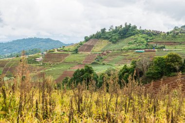 Mon Jam 'in Tayland' daki dağ manzarası.