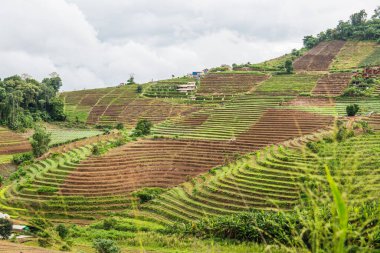 Mon Jam 'in Tayland' daki dağ manzarası.