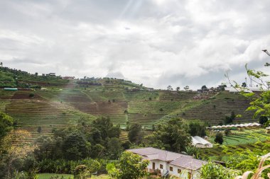 Mon Jam 'in Tayland' daki dağ manzarası.