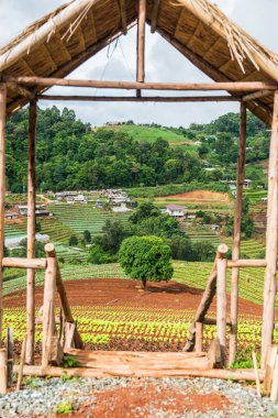Mon Jam 'in Tayland' daki dağ manzarası.