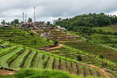 Mon Cham, Tayland 'daki dağdaki köy..
