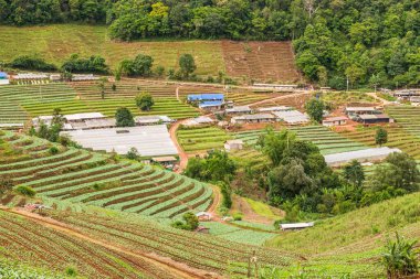 Mon Cham, Tayland 'daki dağdaki köy..