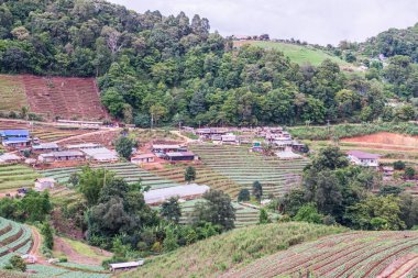 Mon Cham, Tayland 'daki dağdaki köy..
