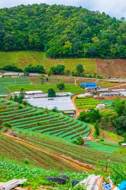 Mon Cham, Tayland 'daki dağdaki köy..