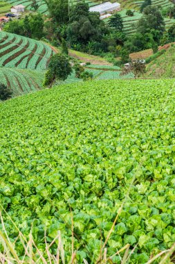 Mon Jam 'in Tayland' daki dağ manzarası.