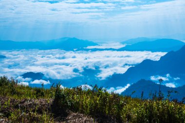 Chiangrai Eyaleti, Tayland 'daki Phu Chi Fa Manzara Noktasında Sis Denizi.