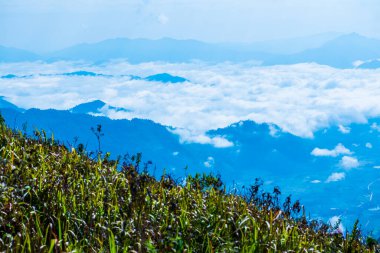 Chiangrai Eyaleti, Tayland 'daki Phu Chi Fa Manzara Noktasında Sis Denizi.