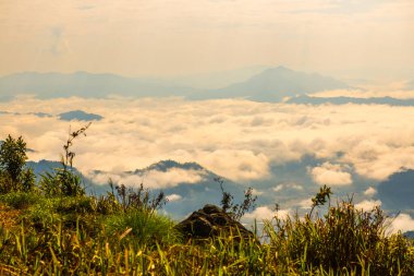 Chiangrai Eyaleti, Tayland 'daki Phu Chi Fa Manzara Noktasında Sis Denizi.